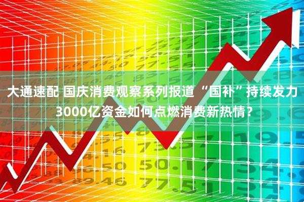 大通速配 国庆消费观察系列报道 “国补”持续发力 3000亿资金如何点燃消费新热情？