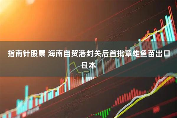 指南针股票 海南自贸港封关后首批章雄鱼苗出口日本