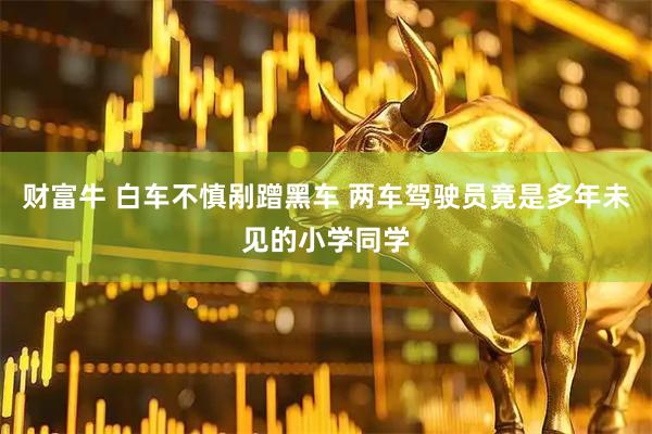 财富牛 白车不慎剐蹭黑车 两车驾驶员竟是多年未见的小学同学