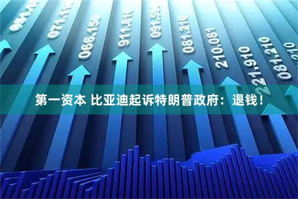 第一资本 比亚迪起诉特朗普政府：退钱！
