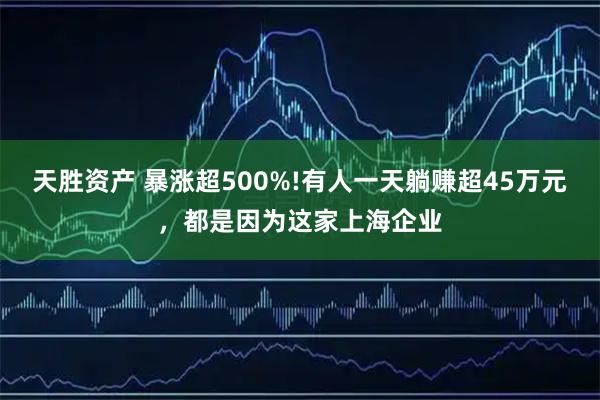 天胜资产 暴涨超500%!有人一天躺赚超45万元，都是因为这家上海企业